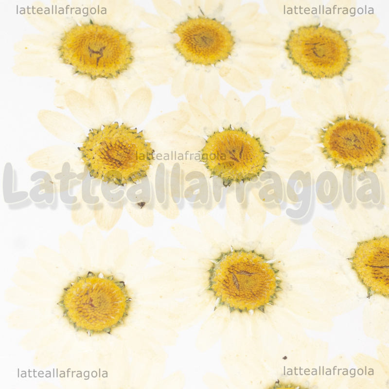 100 Margherite Artificiali Decorative - Fiori Finti In Tessuto Per Decorazioni Fai Da Te, Matrimonio, Tavolo, Composizioni Floreali - Diametro 4 Cm