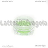 Sabbietta Fluorescente 2.5gr Cod.05