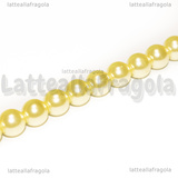 Perle in Vetro Cerato Champagne 8mm filo in cotone 38cm