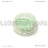 Pigmento fluorescente 2gr Cod.01