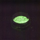 Pigmento fluorescente 2gr Cod.02