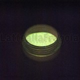 Pigmento fluorescente 2gr Cod.05