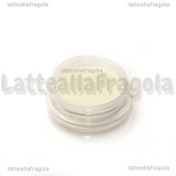 Pigmento fluorescente 2gr Cod.06
