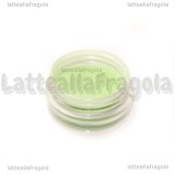 Pigmento fluorescente 2gr Cod.10