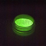 Pigmento fluorescente 2gr Cod.10