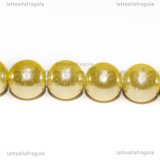 20 Perle in vetro cerato champagne 10mm