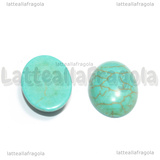 Cabochon in Howlite 18x13mm