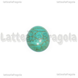 Cabochon in Howlite 18x13mm