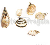 Set 6 Ciondoli Conchiglie Naturale placcate oro 18-59x9-24x7-22mm