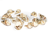 3 Ciondoli Conchiglie Naturali placcate oro 18-25x9-16x7-12mm
