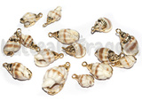 3 Ciondoli Conchiglie Naturali placcate oro 18-25x9-16x7-12mm