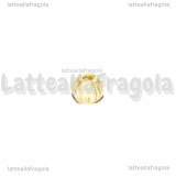 5 Perle Lanterna in acrilico Crema e Oro 6.5x7.5mm